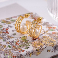 Christian Dior Earrings